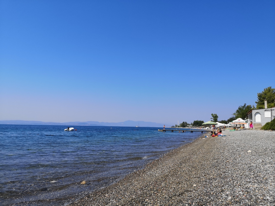 Κοχυλι