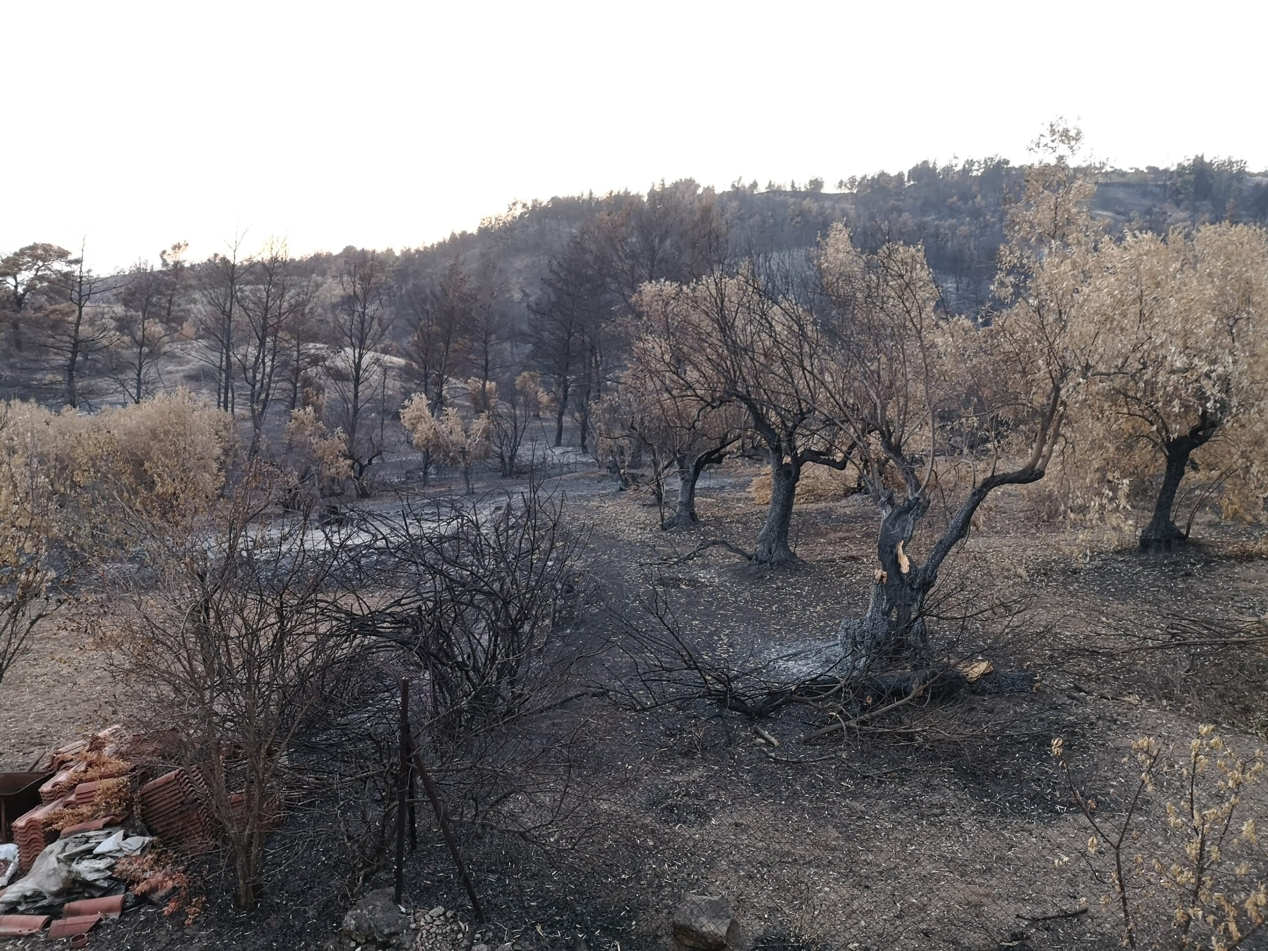 Μεγάλες αλήθειες για τη φωτιά